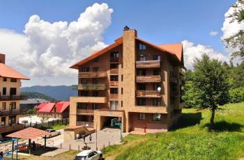 Apartment for rent in Bakuriani near Didveli on a daily basis