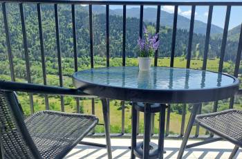 New renovated studio apartment for rent