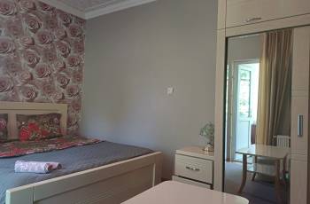 For rent in Borjomi on a daily basis