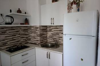 For daily rent near Kijvidze Park