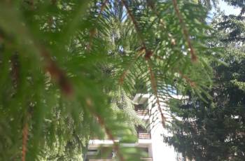Apartment for rent daily