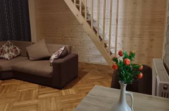 For rent in Borjomi daily