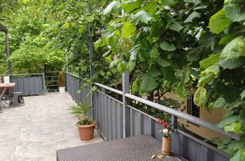 For rent in Borjomi daily