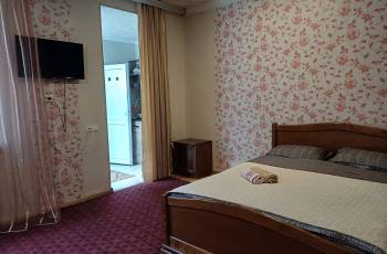 For rent in Borjomi daily