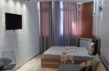 Studio Flat for Rent on 14th Floor 98 Gorgiladze