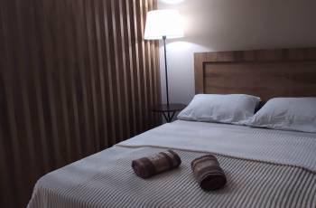 Flat on Tsintsadze daily and