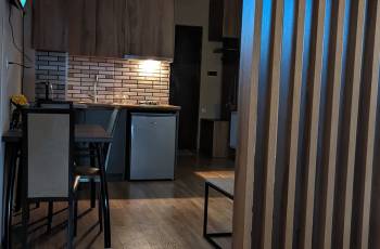 Flat on Tsintsadze daily and