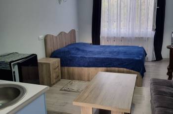 Аренда с балконом квартирой с панорамным видом на гору