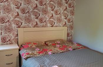 Rent in Borjomi Daily