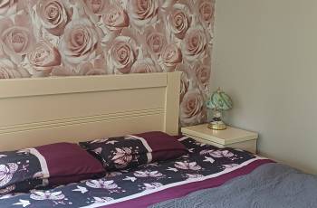 Rent in Borjomi Daily