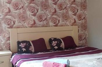 Rent in Borjomi Daily