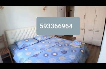 Rent daily