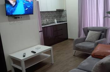 2 bedroom 100 GEL Peter Kavtaradze str.