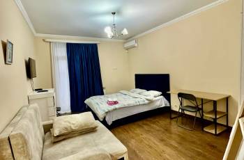 1 bedroom for 90 GEL Metro Vazha-Pshavela