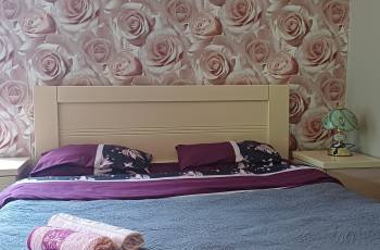 Rent in Borjomi Daily