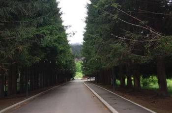 2 bedroom apartment for rent in Bakuriani