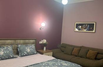 Rent an apartment in old Rustavi daily