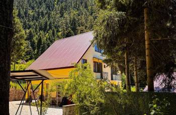 Rent a Cottage in Borjomi