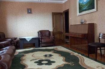 Rent daily near the dolphinarium