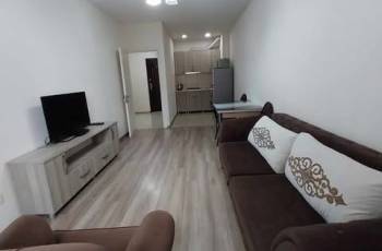 დღიურად/საათობრივად 555409748