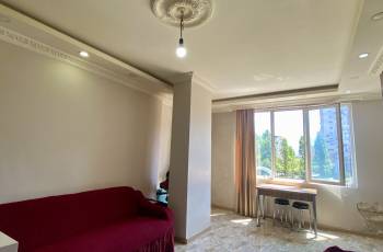 For rent apartment daily