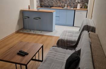 551281313 დიდუბეში საათობრივად და დღიურად