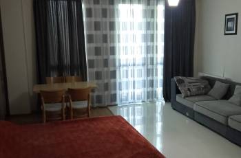 Bakuriani for rent flat