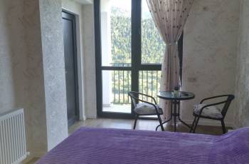 Rent a new renovated apartment for rent