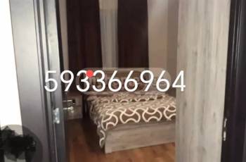 Rent daily