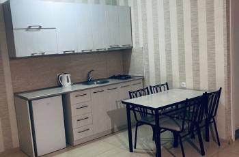 Bakuriani for rent flat
